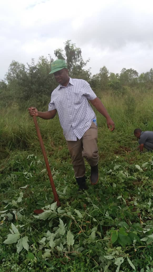 planting trees 1